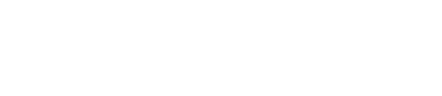SONI55 Logo